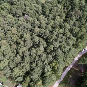Photo #6 of 148 Boatman Ct., Macon, NC 1.0 acres