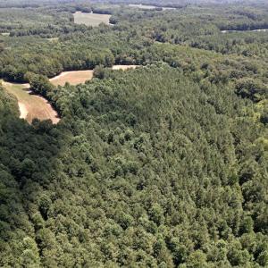 Photo #11 of Off Savage Road,  Spring Hope , NC 200.0 acres