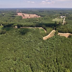 Photo #12 of Off Savage Road,  Spring Hope , NC 200.0 acres