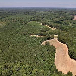 Photo #13 of Off Savage Road,  Spring Hope , NC 200.0 acres