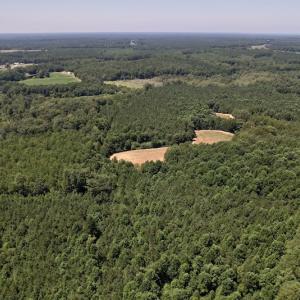 Photo #14 of Off Savage Road,  Spring Hope , NC 200.0 acres