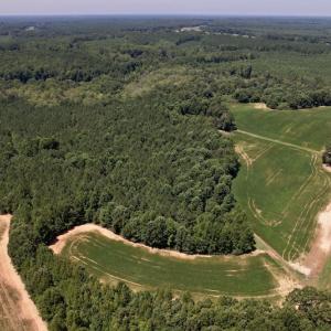 Photo #15 of Off Savage Road,  Spring Hope , NC 200.0 acres