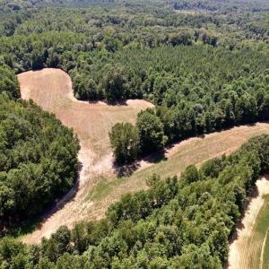 Photo #17 of Off Savage Road,  Spring Hope , NC 200.0 acres