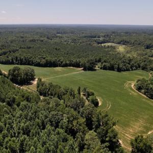 Photo #3 of Off Savage Road,  Spring Hope , NC 200.0 acres