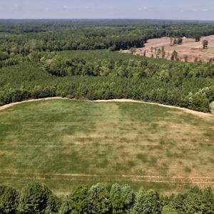 Photo #22 of SOLD property in Off Savage Road,  Spring Hope , NC 200.0 acres