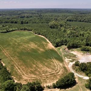 Photo #23 of Off Savage Road,  Spring Hope , NC 200.0 acres