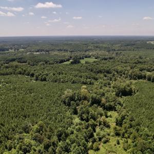 Photo #25 of Off Savage Road,  Spring Hope , NC 200.0 acres