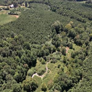 Photo #26 of Off Savage Road,  Spring Hope , NC 200.0 acres