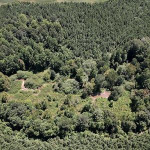 Photo #27 of Off Savage Road,  Spring Hope , NC 200.0 acres