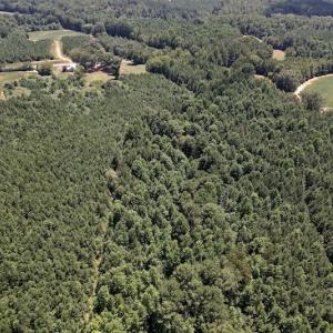 Photo #28 of Off Savage Road,  Spring Hope , NC 200.0 acres