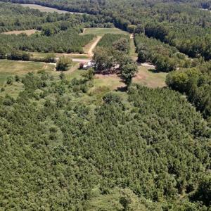 Photo #29 of Off Savage Road,  Spring Hope , NC 200.0 acres
