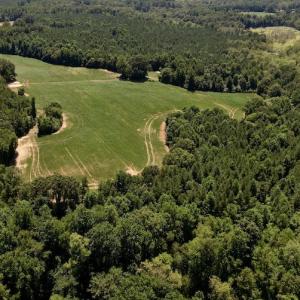 Photo #4 of Off Savage Road,  Spring Hope , NC 200.0 acres
