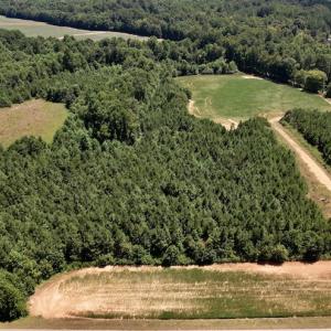 Photo #32 of Off Savage Road,  Spring Hope , NC 200.0 acres