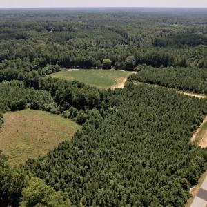 Photo #33 of Off Savage Road,  Spring Hope , NC 200.0 acres
