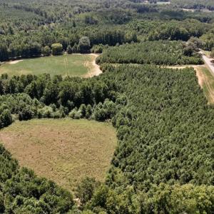 Photo #34 of Off Savage Road,  Spring Hope , NC 200.0 acres