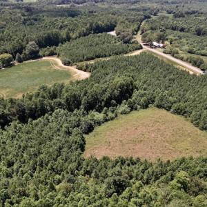 Photo #35 of Off Savage Road,  Spring Hope , NC 200.0 acres