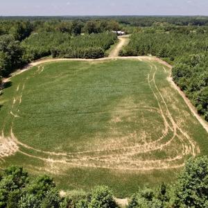 Photo #38 of Off Savage Road,  Spring Hope , NC 200.0 acres