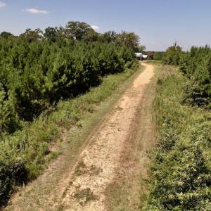 Photo #39 of Off Savage Road,  Spring Hope , NC 200.0 acres