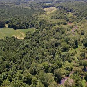 Photo #5 of Off Savage Road,  Spring Hope , NC 200.0 acres