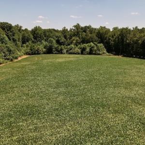 Photo #40 of Off Savage Road,  Spring Hope , NC 200.0 acres