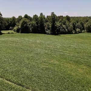 Photo #41 of SOLD property in Off Savage Road,  Spring Hope , NC 200.0 acres