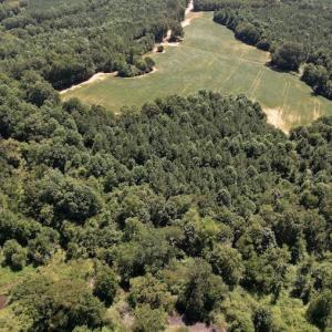 Photo #6 of Off Savage Road,  Spring Hope , NC 200.0 acres