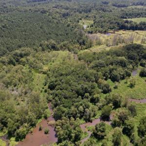 Photo #7 of Off Savage Road,  Spring Hope , NC 200.0 acres