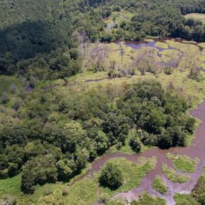 Photo #8 of Off Savage Road,  Spring Hope , NC 200.0 acres