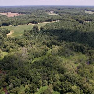 Photo #9 of Off Savage Road,  Spring Hope , NC 200.0 acres