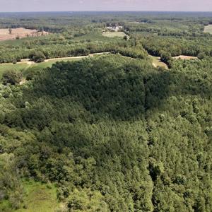 Photo #10 of Off Savage Road,  Spring Hope , NC 200.0 acres