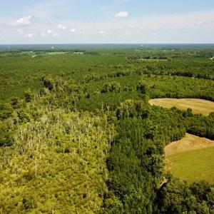 Photo #2 of SOLD property in Off Courtland Rd , Emporia, VA 54.5 acres