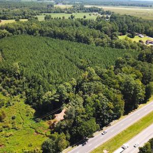 Photo #6 of SOLD property in Off Courtland Rd , Emporia, VA 54.5 acres