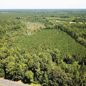 Photo #7 of SOLD property in Off Courtland Rd , Emporia, VA 54.5 acres