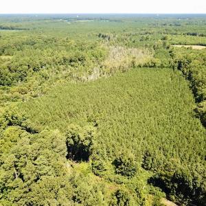 Photo #8 of SOLD property in Off Courtland Rd , Emporia, VA 54.5 acres