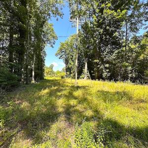 Photo #9 of SOLD property in Off Courtland Rd , Emporia, VA 54.5 acres