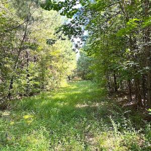 Photo #10 of SOLD property in Off Courtland Rd , Emporia, VA 54.5 acres