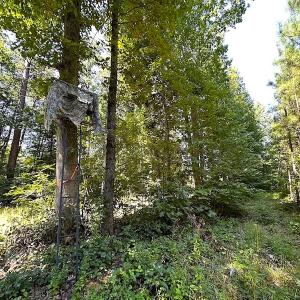 Photo #11 of SOLD property in Off Courtland Rd , Emporia, VA 54.5 acres