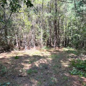 Photo #14 of SOLD property in Off Courtland Rd , Emporia, VA 54.5 acres