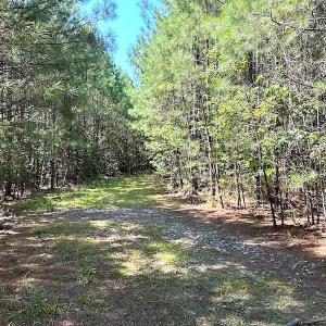 Photo #15 of SOLD property in Off Courtland Rd , Emporia, VA 54.5 acres
