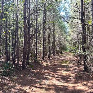 Photo #17 of SOLD property in Off Courtland Rd , Emporia, VA 54.5 acres