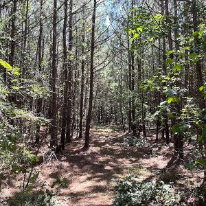 Photo #23 of SOLD property in Off Courtland Rd , Emporia, VA 54.5 acres