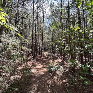 Photo #24 of SOLD property in Off Courtland Rd , Emporia, VA 54.5 acres