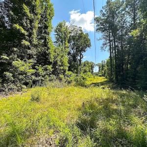 Photo #25 of SOLD property in Off Courtland Rd , Emporia, VA 54.5 acres