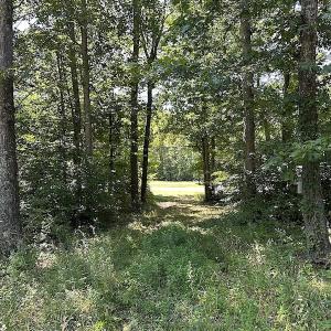 Photo #26 of SOLD property in Off Courtland Rd , Emporia, VA 54.5 acres