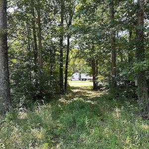 Photo #27 of SOLD property in Off Courtland Rd , Emporia, VA 54.5 acres