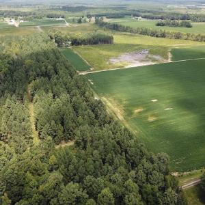 Photo #2 of Off Quarry Rd , Emporia, VA 11.7 acres