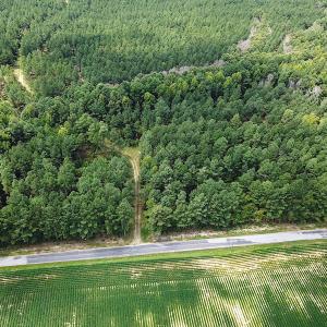 Photo #4 of Off Quarry Rd , Emporia, VA 11.7 acres