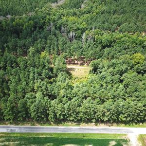 Photo #5 of Off Quarry Rd , Emporia, VA 11.7 acres