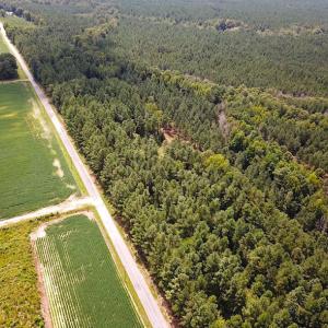 Photo #6 of Off Quarry Rd , Emporia, VA 11.7 acres