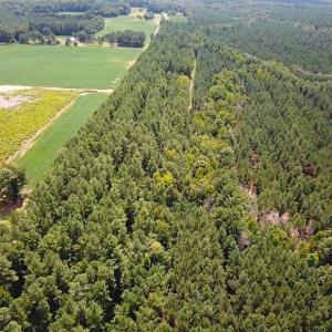 Photo #7 of Off Quarry Rd , Emporia, VA 11.7 acres